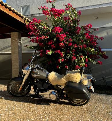 HARLEY-DAVIDSON SOFTAIL FAT BOY HARLEY-DAVIDSON SOFTAIL FAT BOY